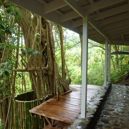 Citrus Creek Plantation Villa La Plaine Dış mekan fotoğraf