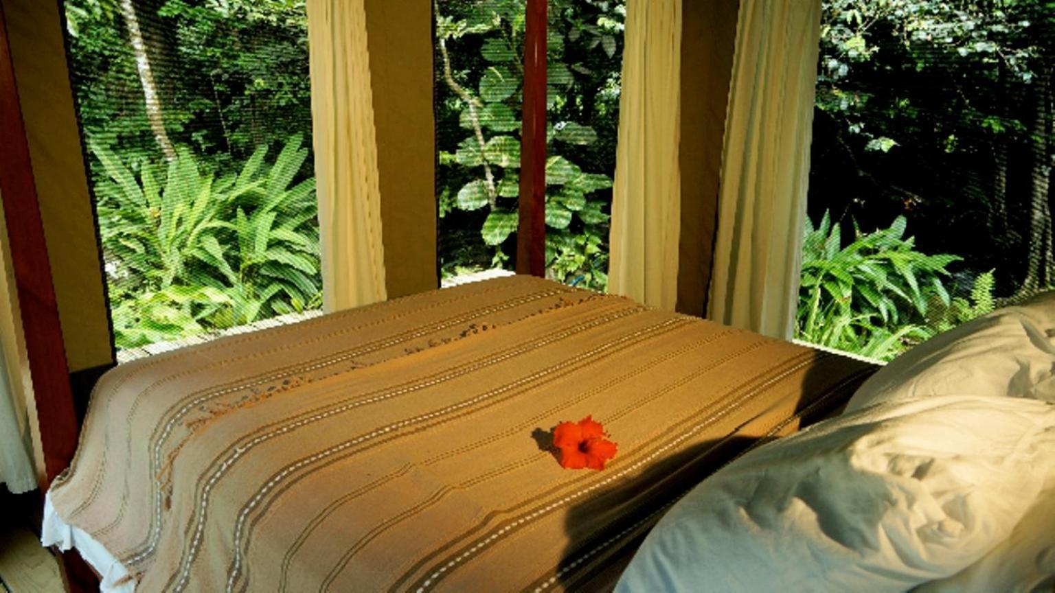 Citrus Creek Plantation Villa La Plaine Dış mekan fotoğraf