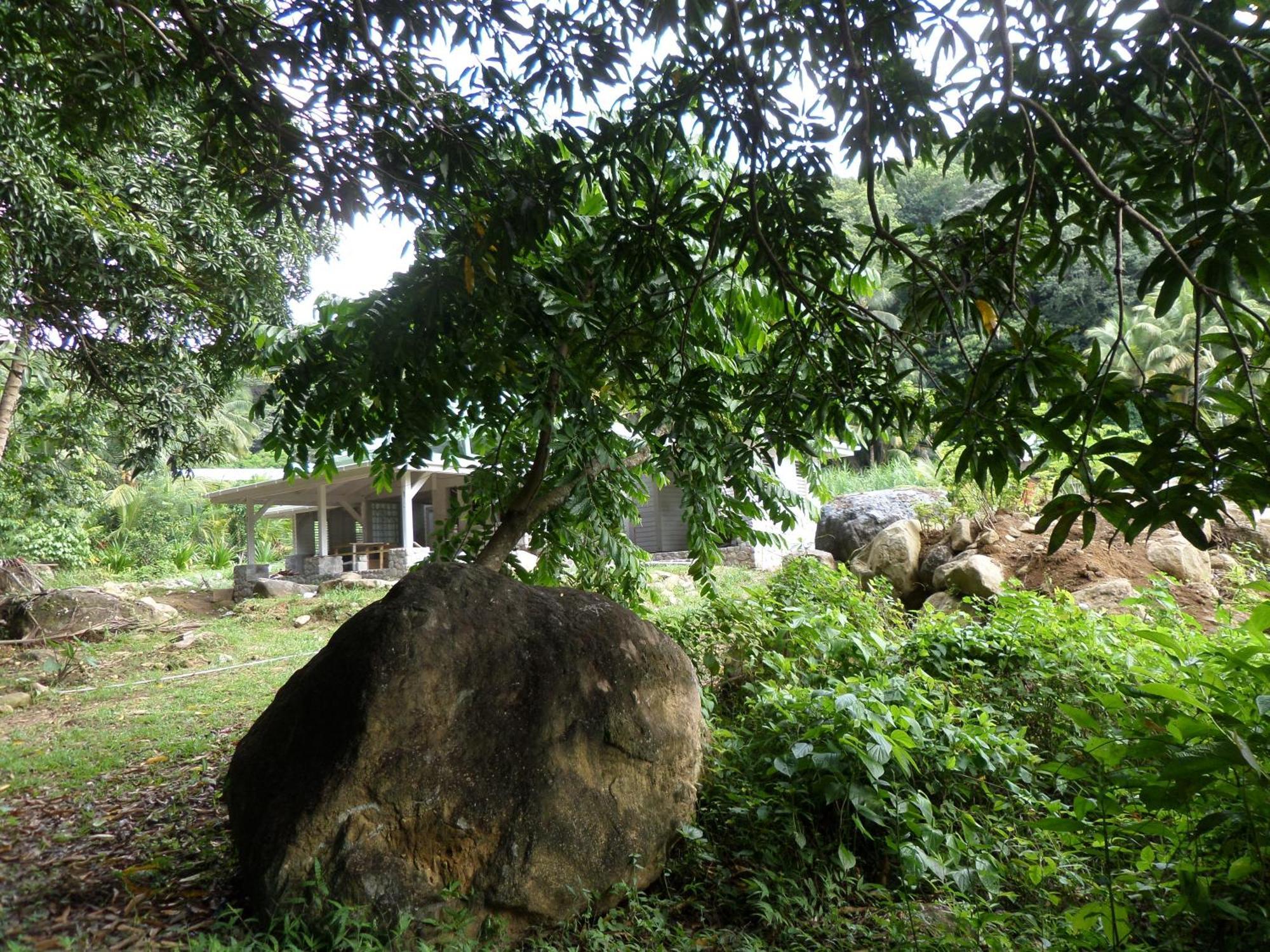 Citrus Creek Plantation Villa La Plaine Oda fotoğraf
