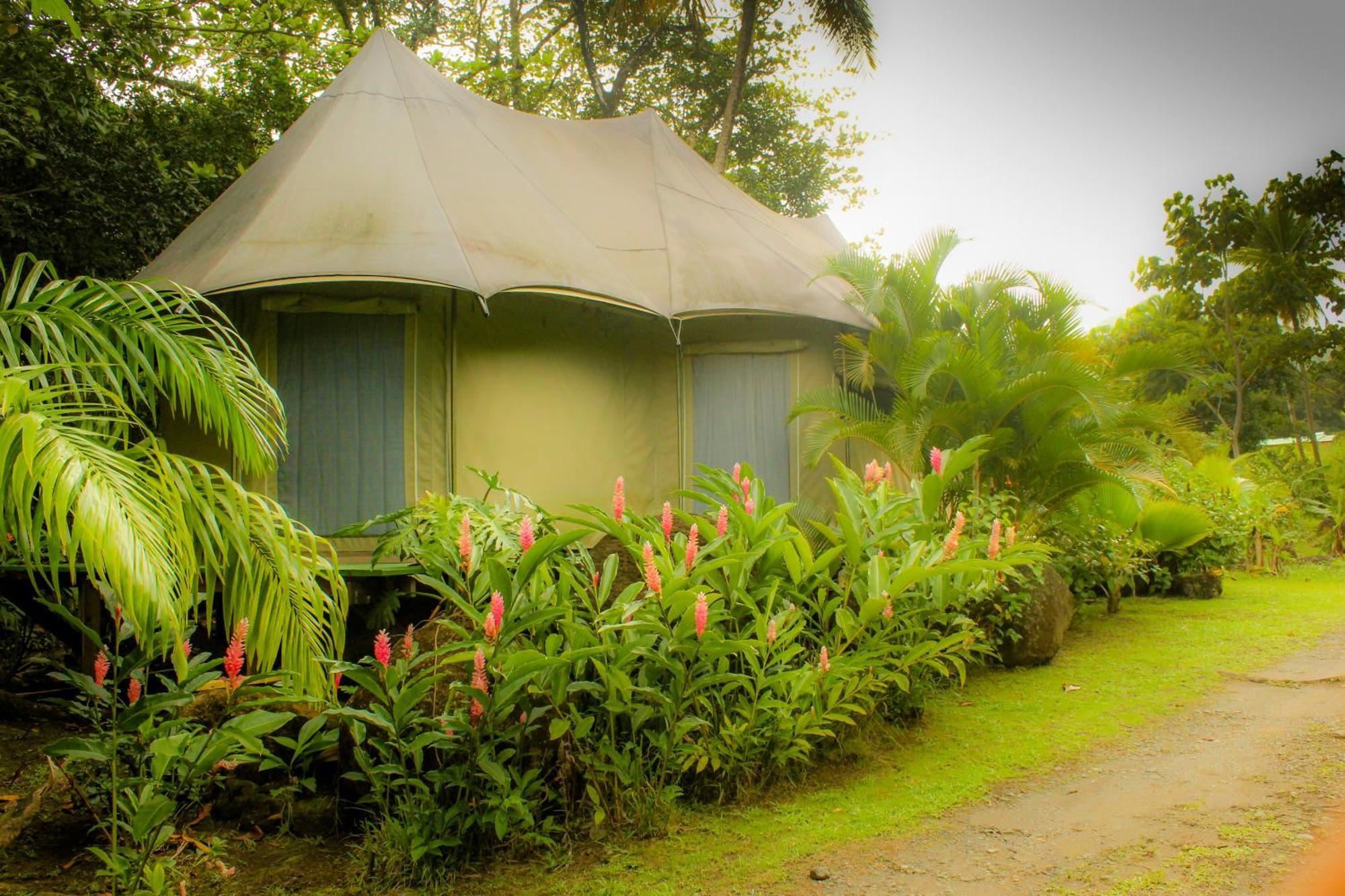 Citrus Creek Plantation Villa La Plaine Oda fotoğraf