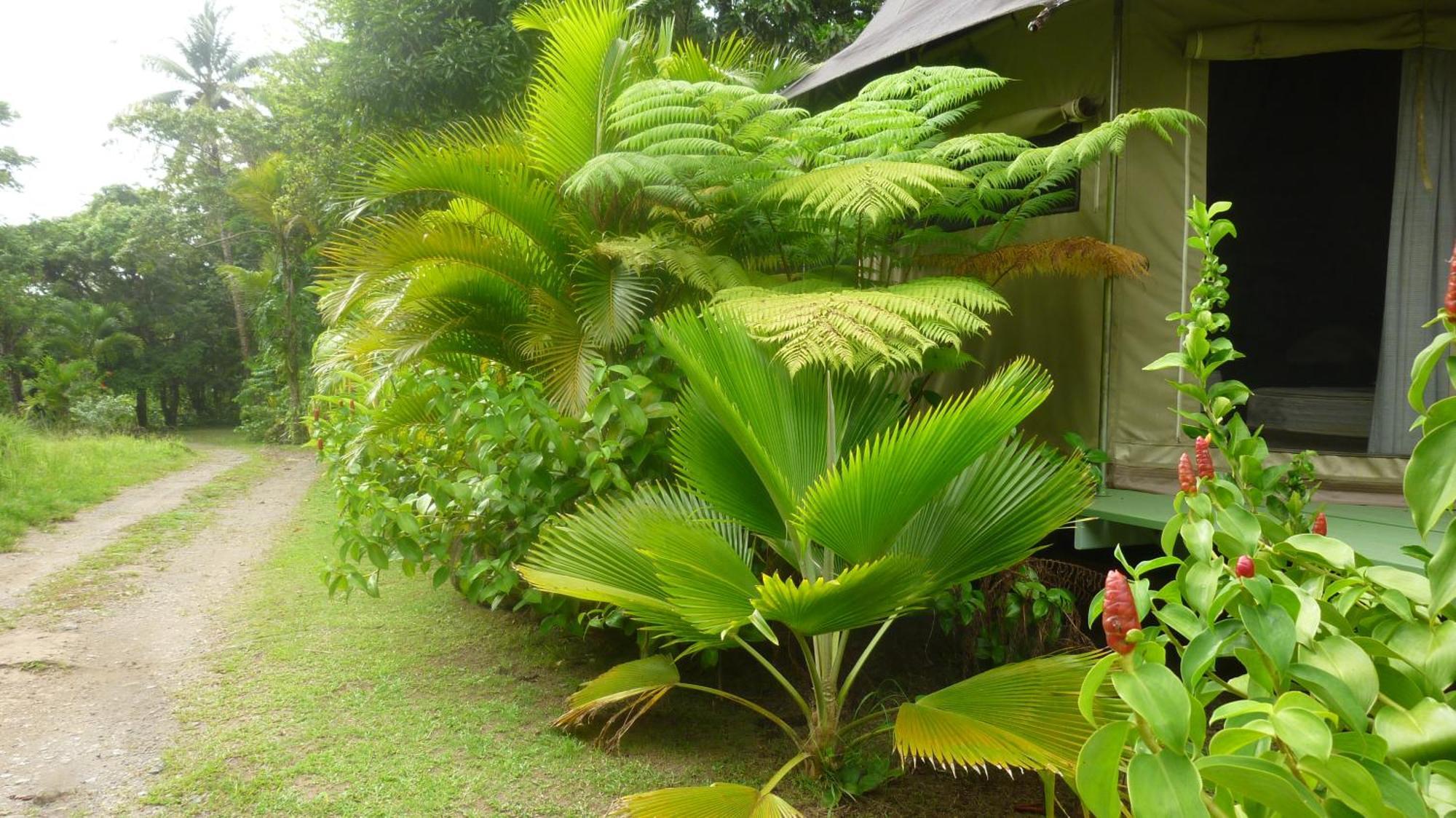 Citrus Creek Plantation Villa La Plaine Oda fotoğraf