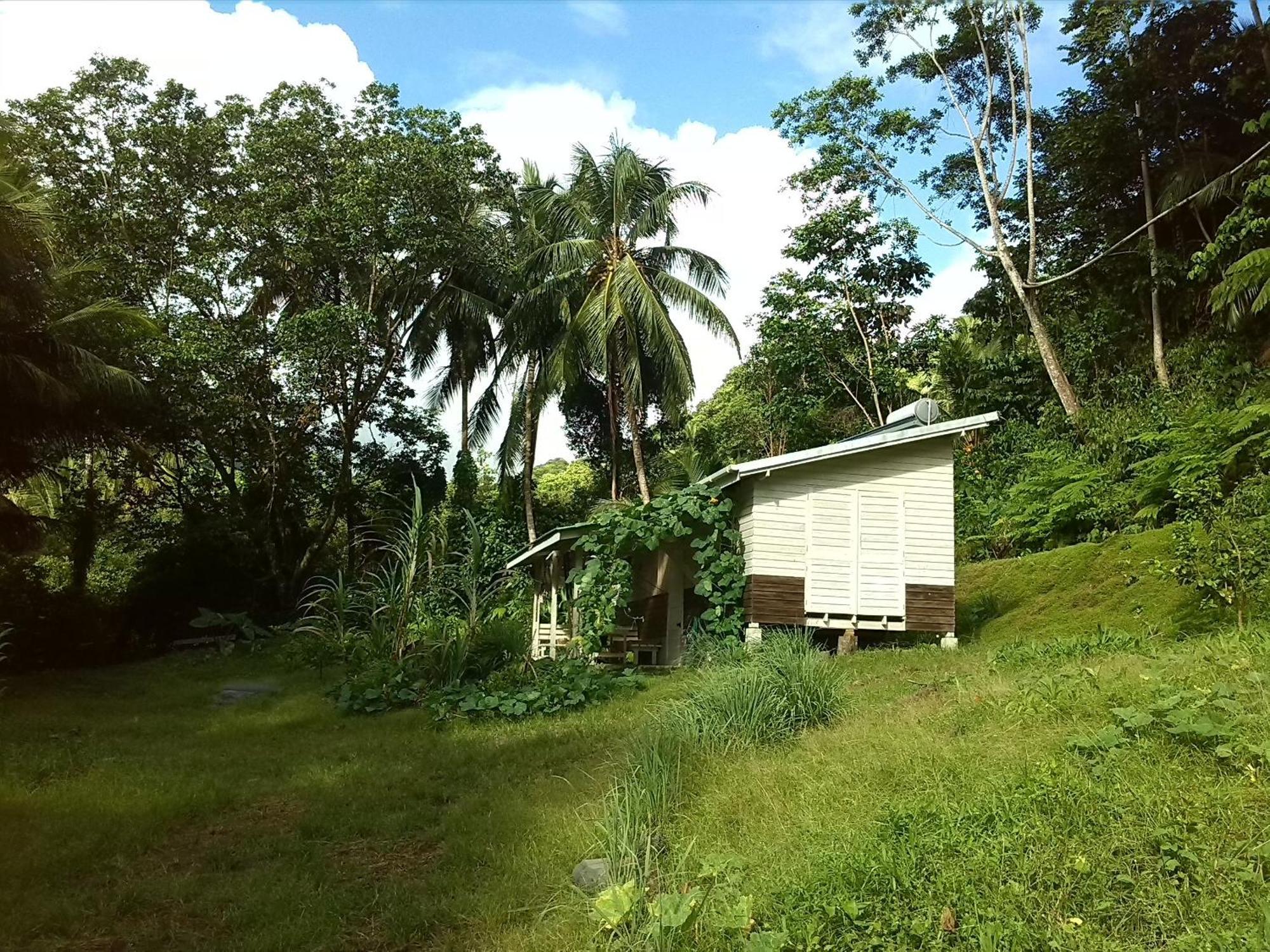 Citrus Creek Plantation Villa La Plaine Oda fotoğraf