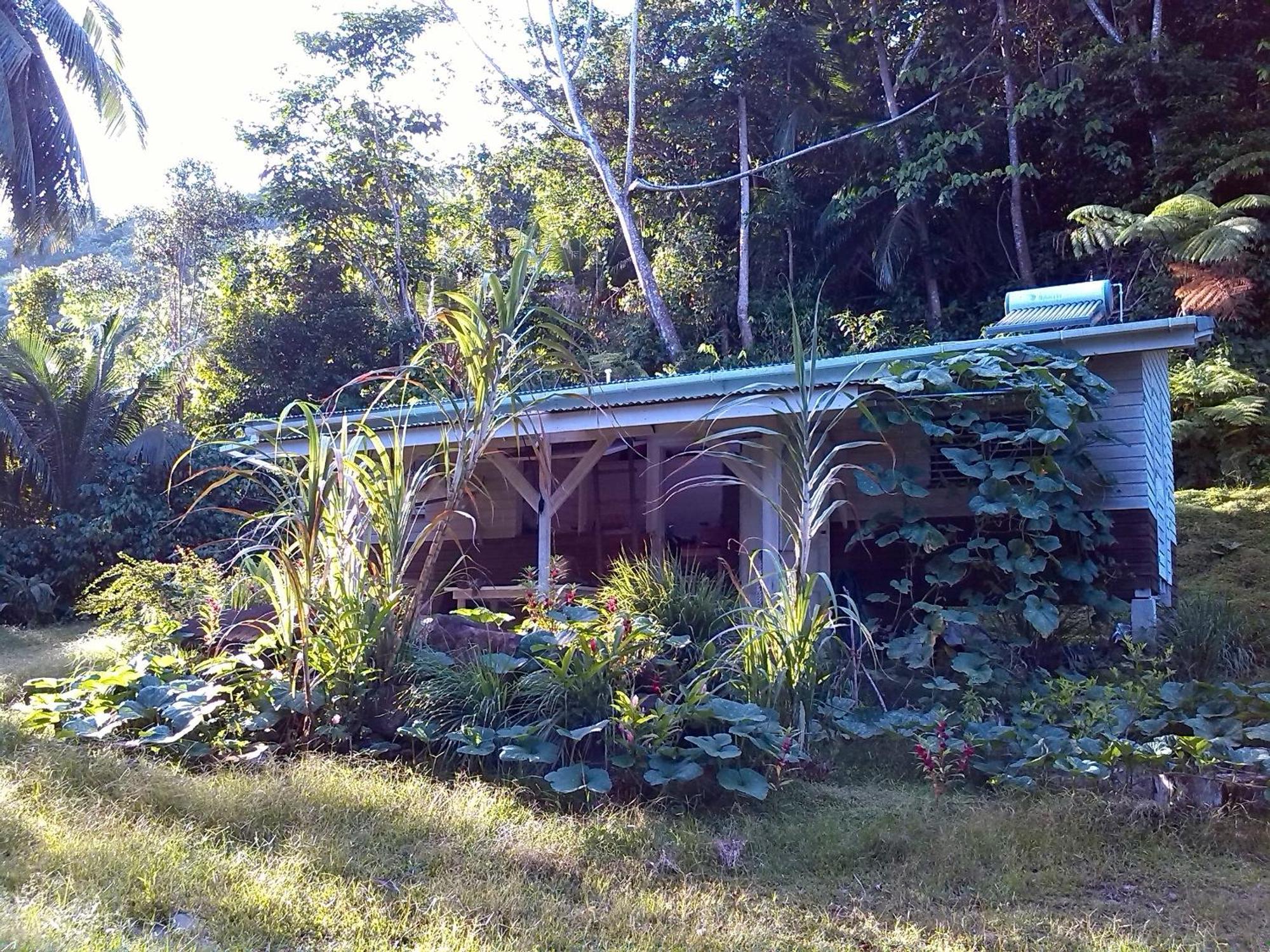 Citrus Creek Plantation Villa La Plaine Oda fotoğraf