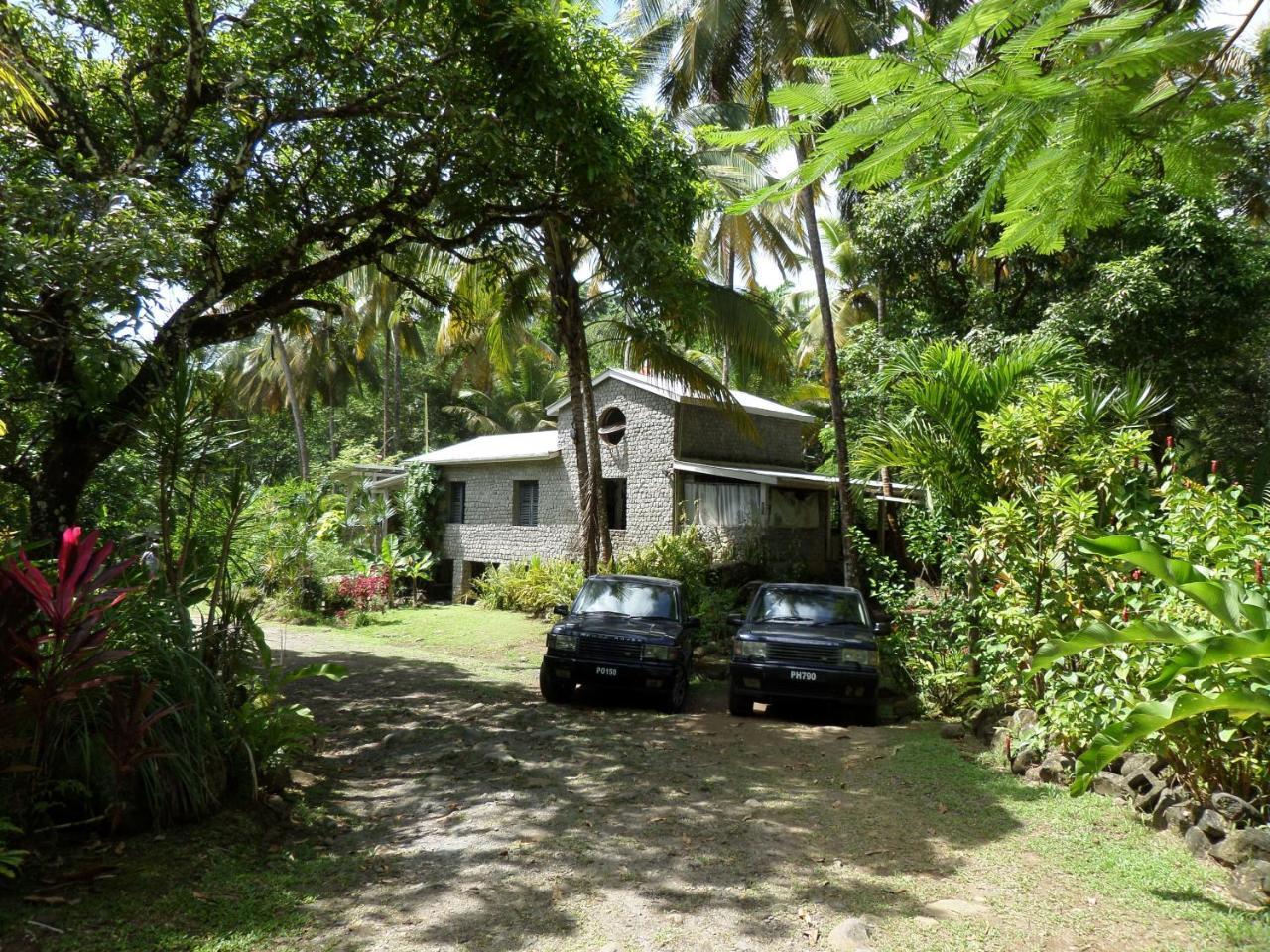 Citrus Creek Plantation Villa La Plaine Dış mekan fotoğraf