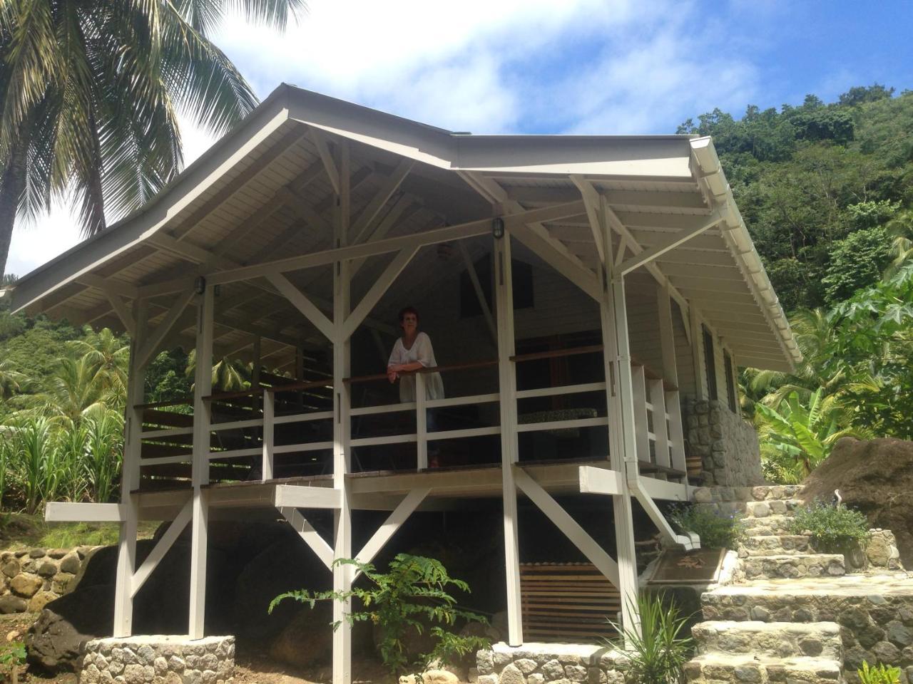 Citrus Creek Plantation Villa La Plaine Dış mekan fotoğraf
