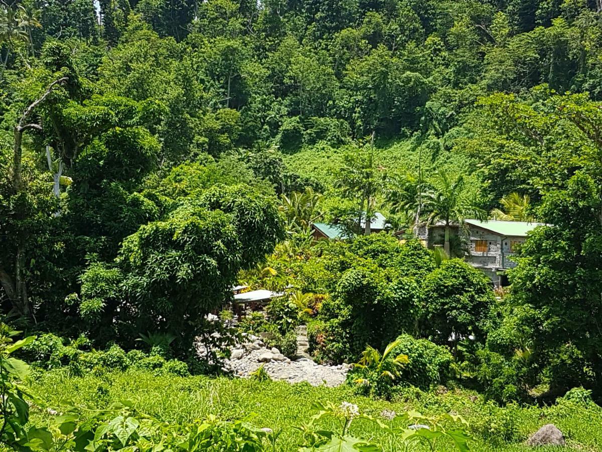 Citrus Creek Plantation Villa La Plaine Dış mekan fotoğraf